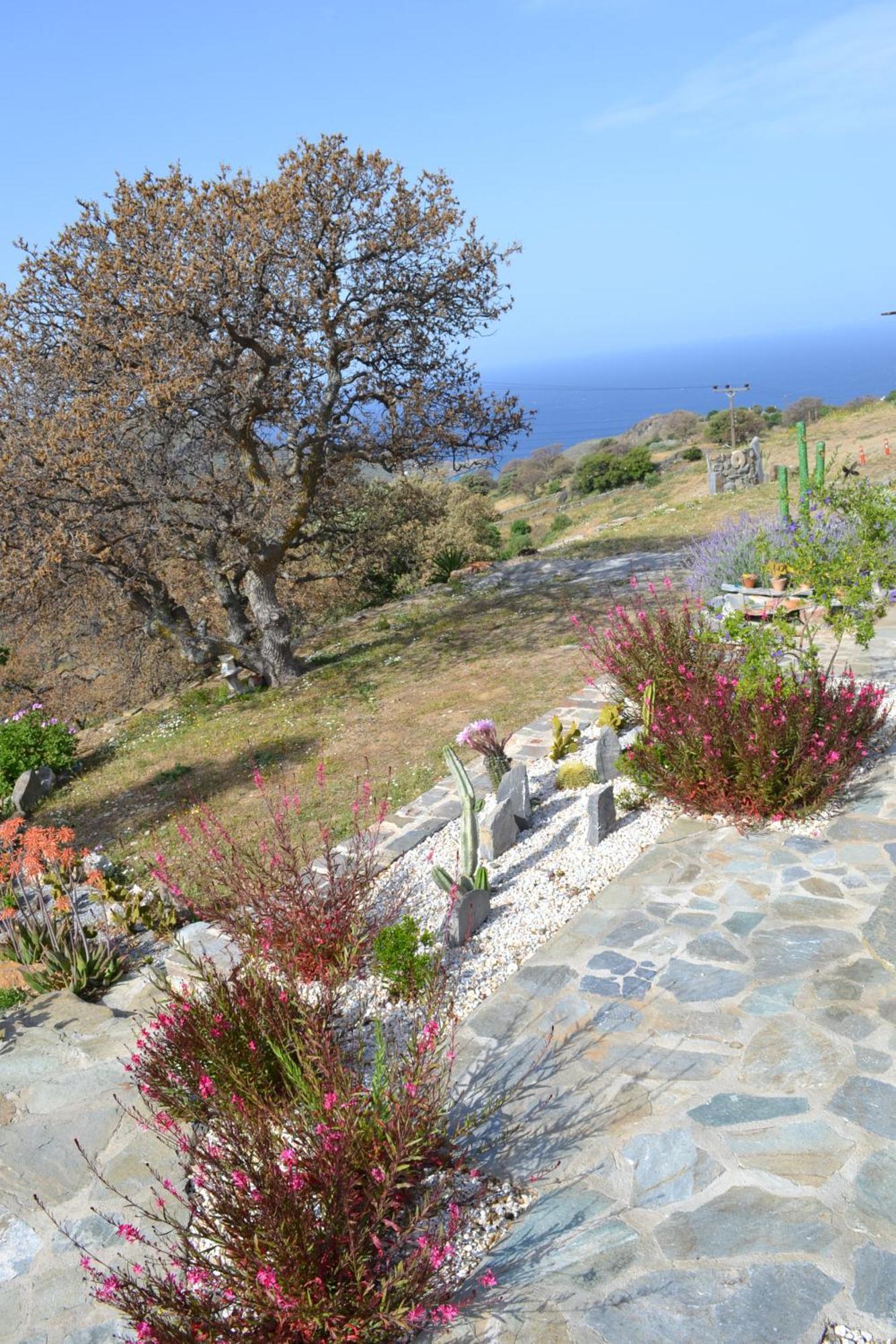Rural Guest House B&B Chavouna Bagian luar foto