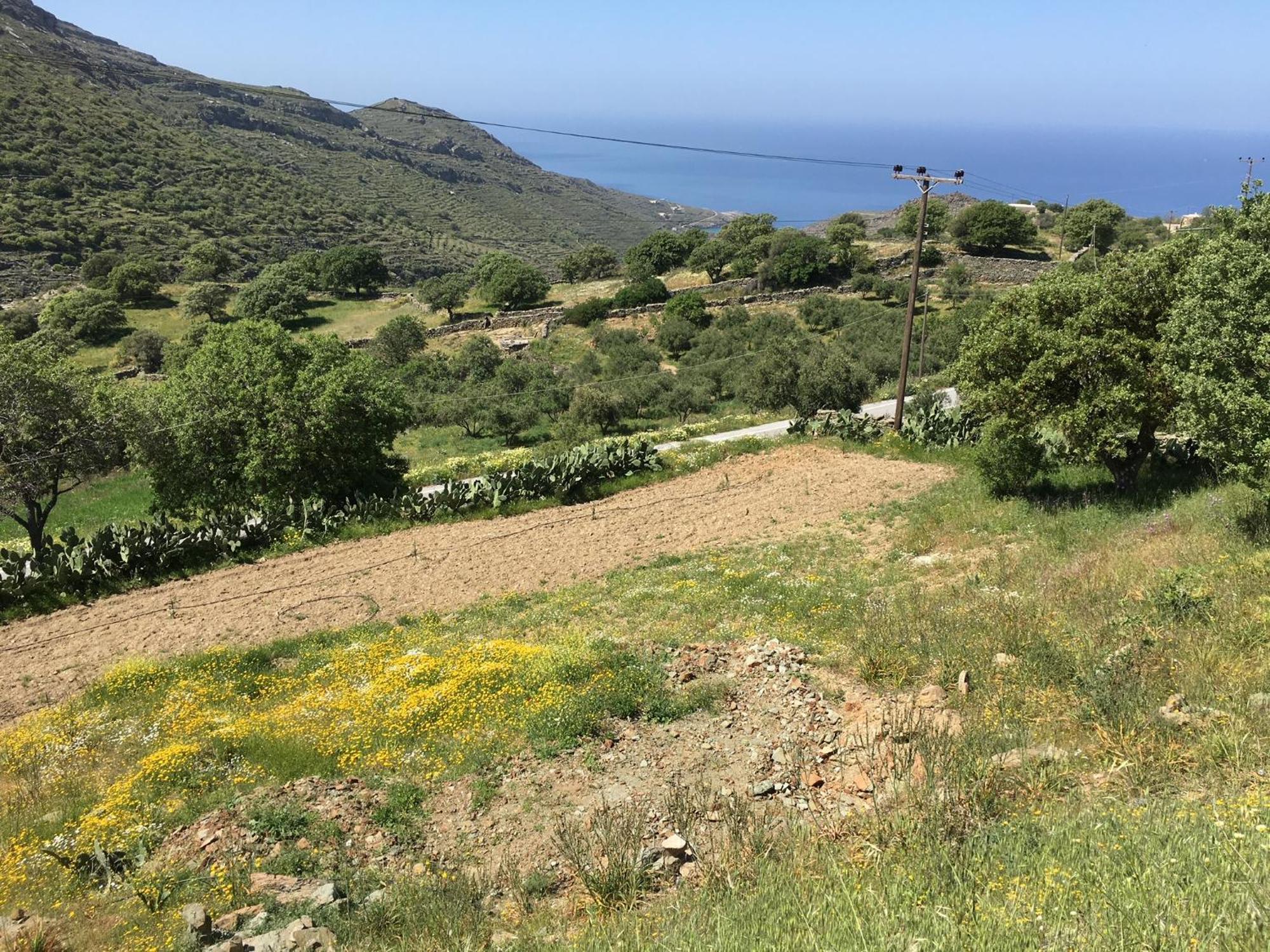 Rural Guest House B&B Chavouna Bagian luar foto